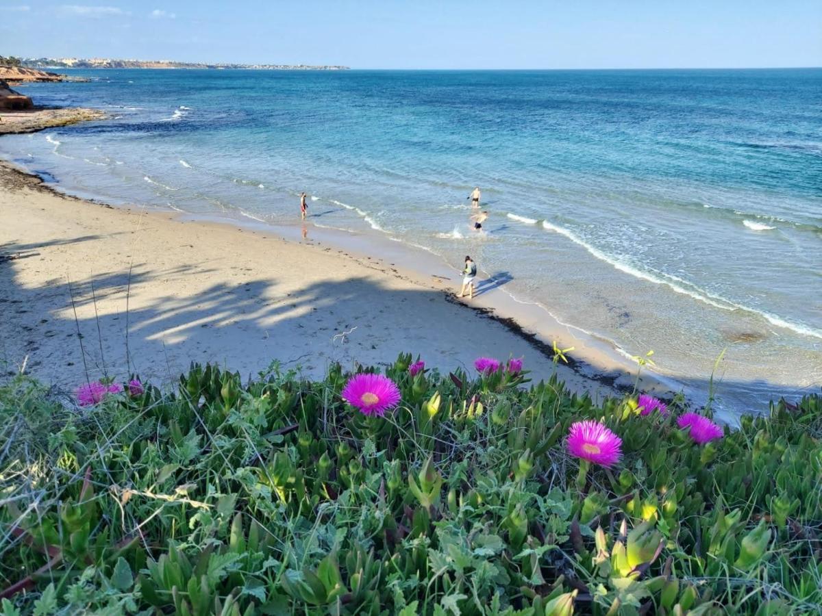 El Apartamento De Papa - Mil Palmeras Dehesa de Campoamor  Екстер'єр фото